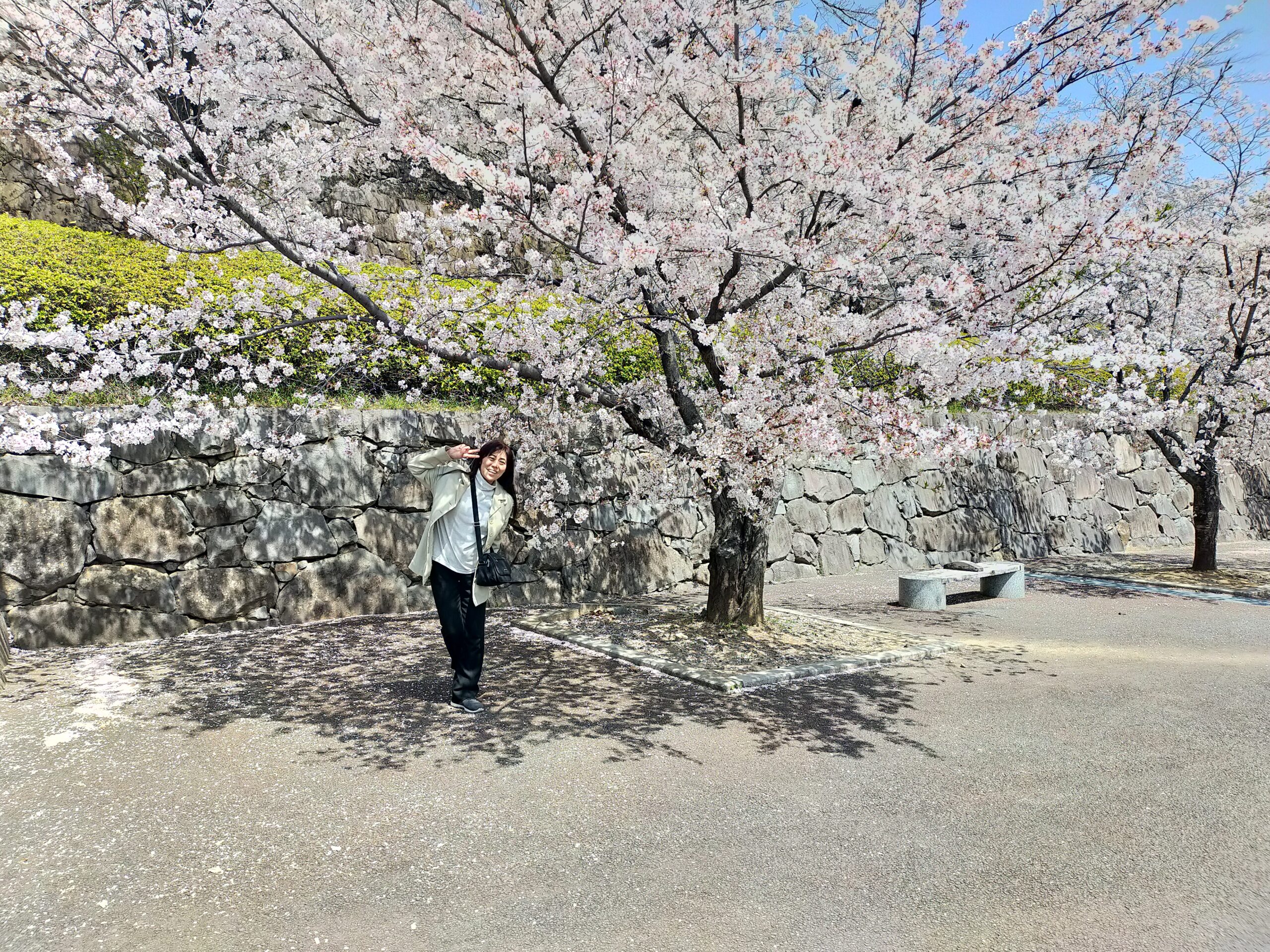 ごあいさつ